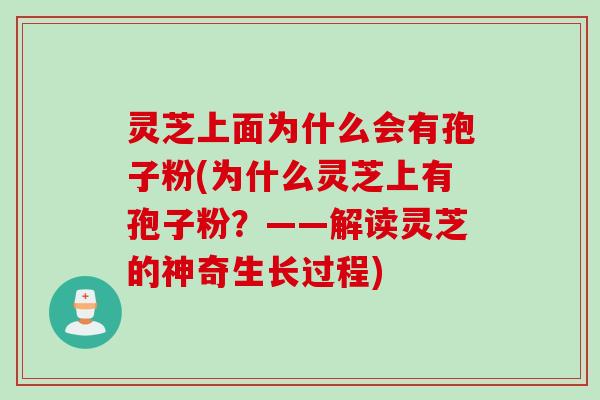 灵芝上面为什么会有孢子粉(为什么灵芝上有孢子粉？——解读灵芝的神奇生长过程)
