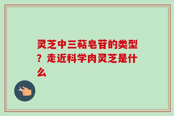 灵芝中三萜皂苷的类型？走近科学肉灵芝是什么