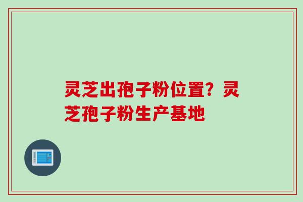 灵芝出孢子粉位置？灵芝孢子粉生产基地