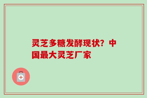 灵芝多糖发酵现状？中国最大灵芝厂家