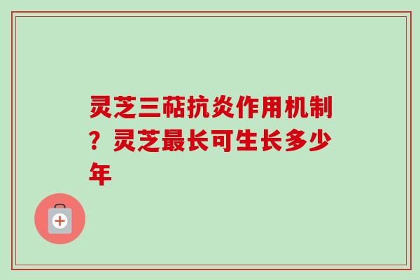 灵芝三萜抗炎作用机制？灵芝最长可生长多少年
