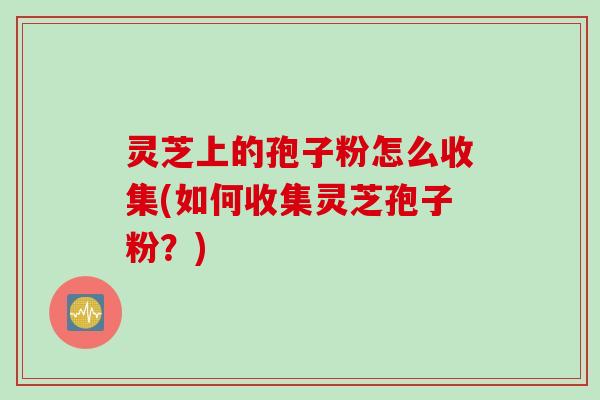 灵芝上的孢子粉怎么收集(如何收集灵芝孢子粉？)