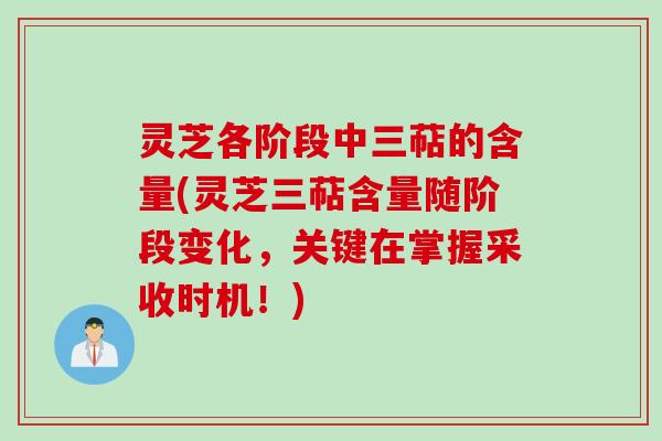 灵芝各阶段中三萜的含量(灵芝三萜含量随阶段变化，关键在掌握采收时机！)