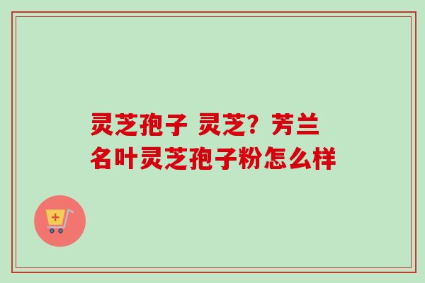 灵芝孢子 灵芝？芳兰名叶灵芝孢子粉怎么样