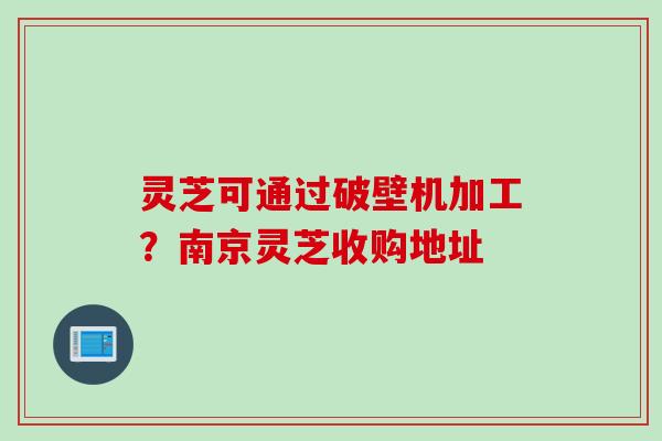 灵芝可通过破壁机加工?南京灵芝收购地址 灵芝可通过破壁机加工?南京灵芝收购地址