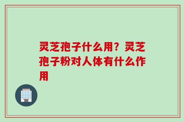 灵芝孢子什么用？灵芝孢子粉对人体有什么作用