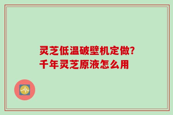 灵芝低温破壁机定做？千年灵芝原液怎么用