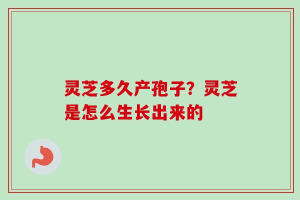 灵芝多久产孢子？灵芝是怎么生长出来的