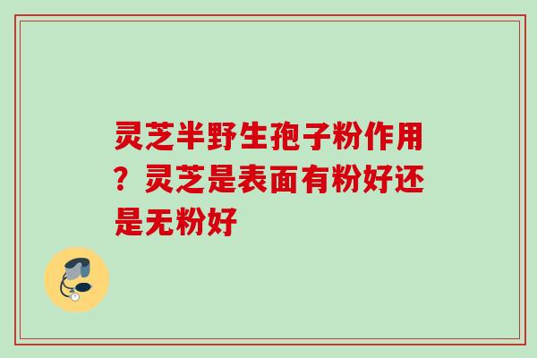 灵芝半野生孢子粉作用？灵芝是表面有粉好还是无粉好