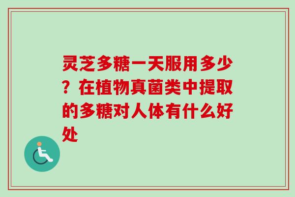 灵芝多糖一天服用多少?在植物真菌类中提取的多糖对人体有什么好处 灵芝多糖一天服用多少?在植物真菌类中提取的多糖对人体有什么好处