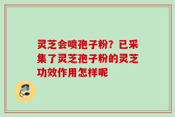 灵芝会喷孢子粉？已采集了灵芝孢子粉的灵芝功效作用怎样呢