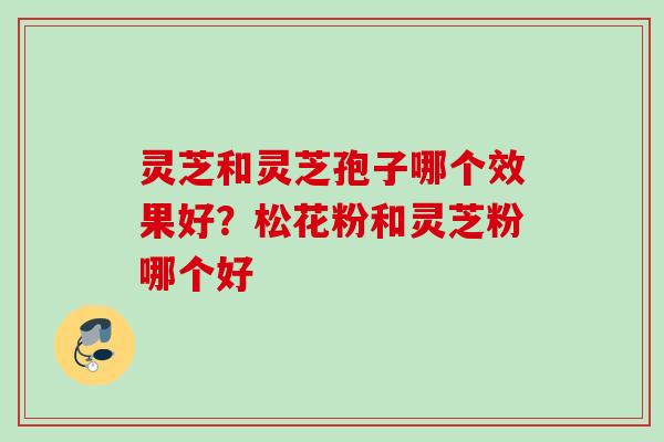 灵芝和灵芝孢子哪个效果好？松花粉和灵芝粉哪个好