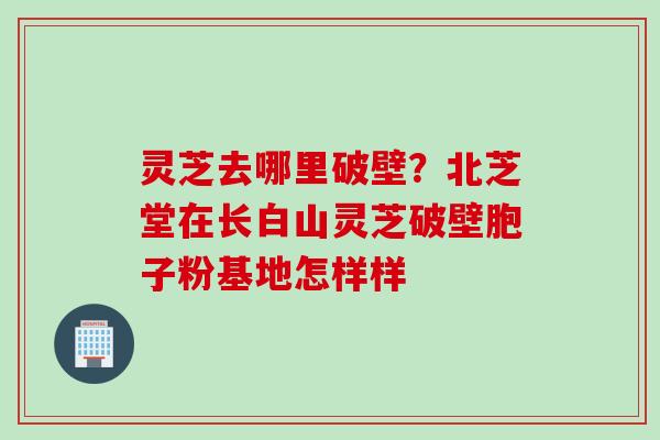 灵芝去哪里破壁？北芝堂在长白山灵芝破壁胞子粉基地怎样样