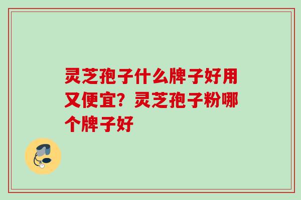 灵芝孢子什么牌子好用又便宜？灵芝孢子粉哪个牌子好