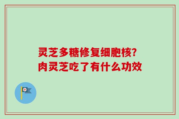 灵芝多糖修复细胞核？肉灵芝吃了有什么功效