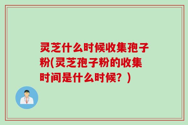 灵芝什么时候收集孢子粉(灵芝孢子粉的收集时间是什么时候？)