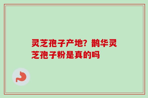灵芝孢子产地？鹊华灵芝孢子粉是真的吗