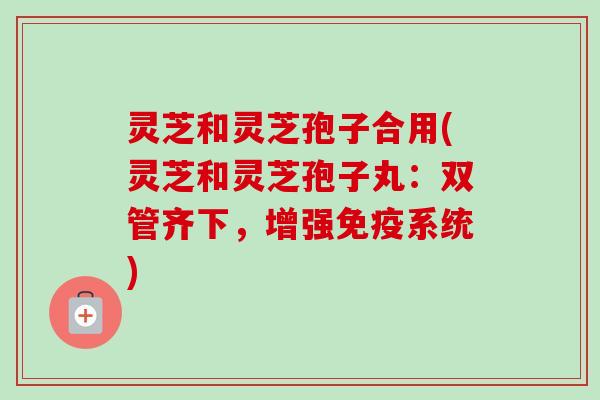 灵芝和灵芝孢子合用(灵芝和灵芝孢子丸：双管齐下，增强免疫系统)