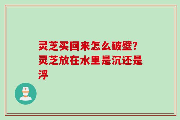 灵芝买回来怎么破壁？灵芝放在水里是沉还是浮