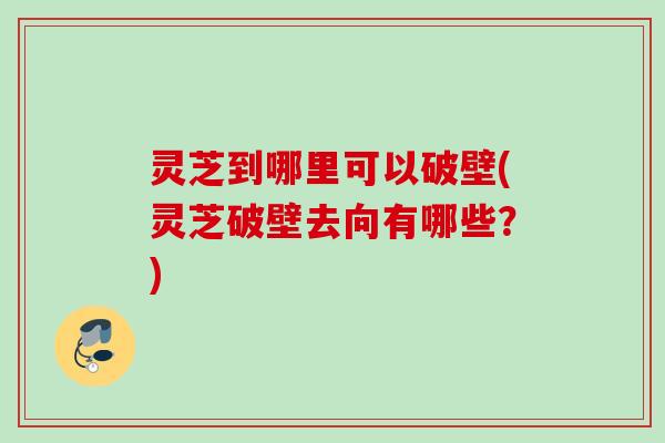 灵芝到哪里可以破壁(灵芝破壁去向有哪些？)