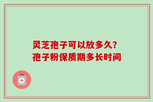 灵芝孢子可以放多久？孢子粉保质期多长时间