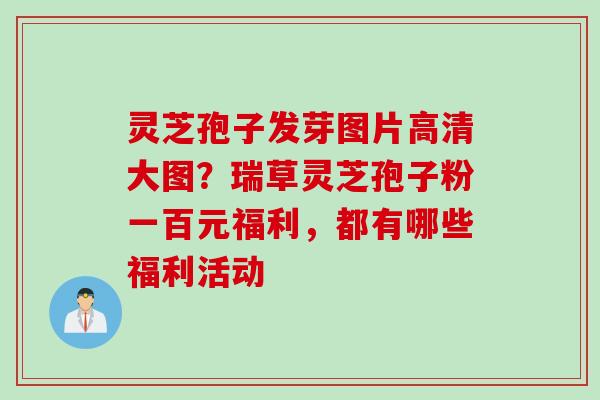 灵芝孢子发芽图片高清大图？瑞草灵芝孢子粉一百元福利，都有哪些福利活动
