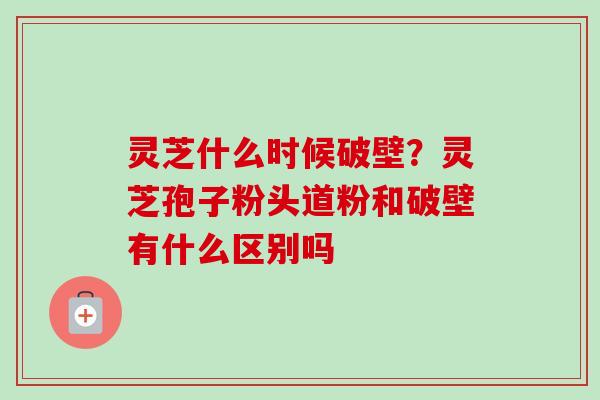 灵芝什么时候破壁？灵芝孢子粉头道粉和破壁有什么区别吗