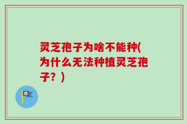 灵芝孢子为啥不能种(为什么无法种植灵芝孢子?) 灵芝孢子为啥不能种(为什么无法种植灵芝孢子?)