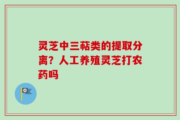 灵芝中三萜类的提取分离？人工养殖灵芝打农药吗