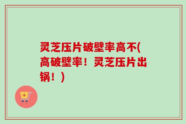 灵芝压片破壁率高不(高破壁率！灵芝压片出锅！)