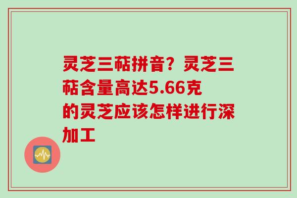 灵芝三萜拼音?灵芝三萜含量高达5.66克的灵芝应该怎样进行深加工 灵芝三萜拼音?灵芝三萜含量高达5.66克的灵芝应该怎样进行深加工