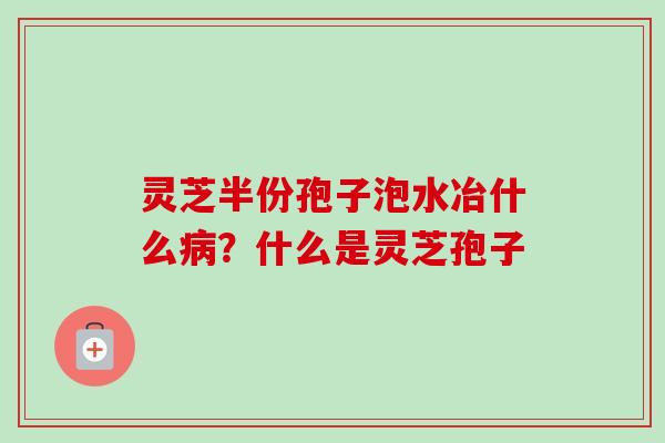 灵芝半份孢子泡水冶什么？什么是灵芝孢子