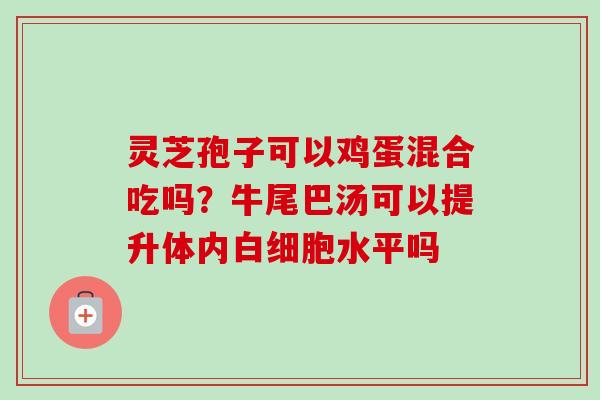 灵芝孢子可以鸡蛋混合吃吗？牛尾巴汤可以提升体内白细胞水平吗
