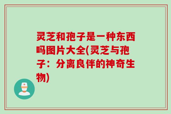 灵芝和孢子是一种东西吗图片大全(灵芝与孢子：分离良伴的神奇生物)