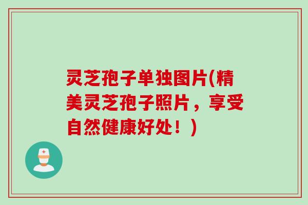 灵芝孢子单独图片(精美灵芝孢子照片，享受自然健康好处！)