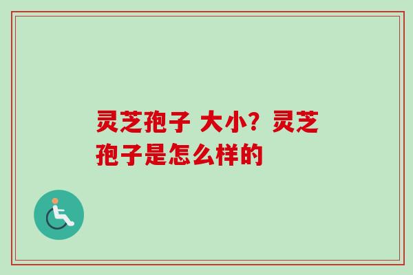 灵芝孢子 大小？灵芝孢子是怎么样的