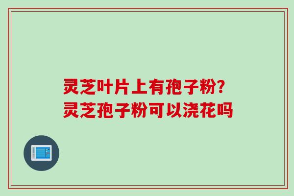 灵芝叶片上有孢子粉？灵芝孢子粉可以浇花吗