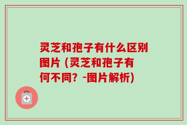 灵芝和孢子有什么区别图片 (灵芝和孢子有何不同？-图片解析)