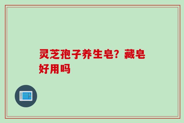 灵芝孢子养生皂?藏皂好用吗 灵芝孢子养生皂?藏皂好用吗