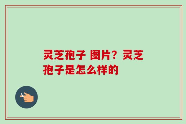 灵芝孢子 图片？灵芝孢子是怎么样的