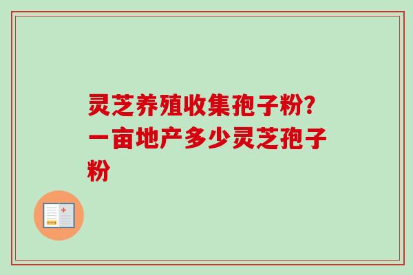 灵芝养殖收集孢子粉？一亩地产多少灵芝孢子粉