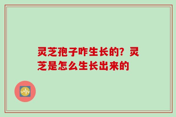 灵芝孢子咋生长的？灵芝是怎么生长出来的