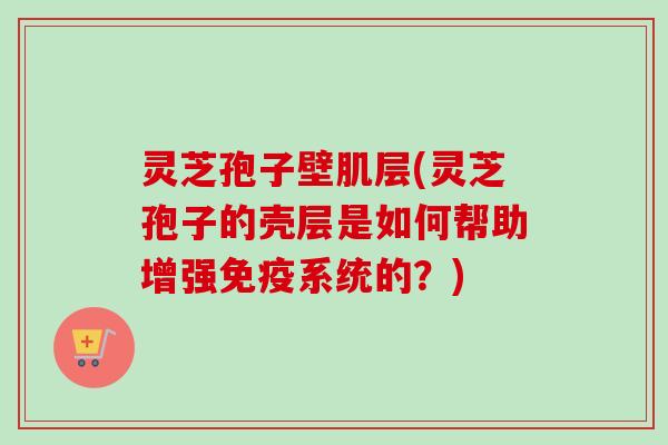 灵芝孢子壁肌层(灵芝孢子的壳层是如何帮助增强免疫系统的？)