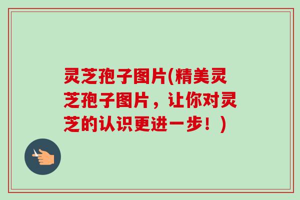 灵芝孢子图片(精美灵芝孢子图片，让你对灵芝的认识更进一步！)