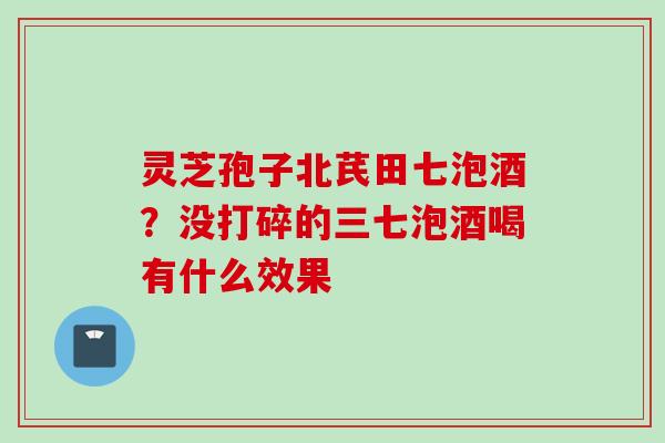 灵芝孢子北芪田七泡酒？没打碎的三七泡酒喝有什么效果
