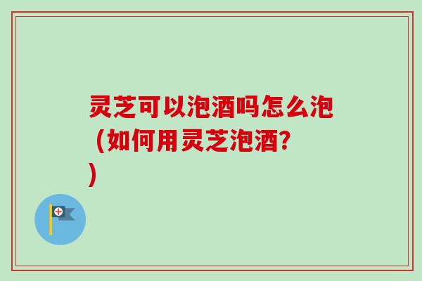 灵芝可以泡酒吗怎么泡 (如何用灵芝泡酒？)