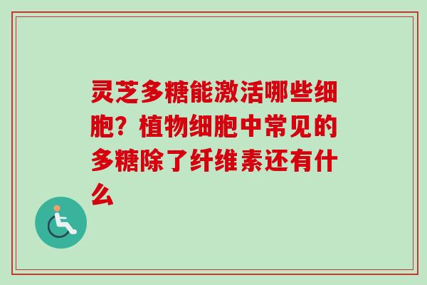 灵芝多糖能激活哪些细胞？植物细胞中常见的多糖除了纤维素还有什么