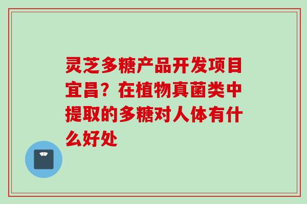 灵芝多糖产品开发项目宜昌？在植物真菌类中提取的多糖对人体有什么好处