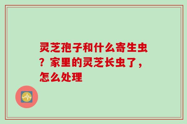 灵芝孢子和什么寄生虫？家里的灵芝长虫了，怎么处理