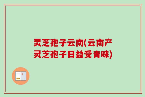 灵芝孢子云南(云南产灵芝孢子日益受青睐)